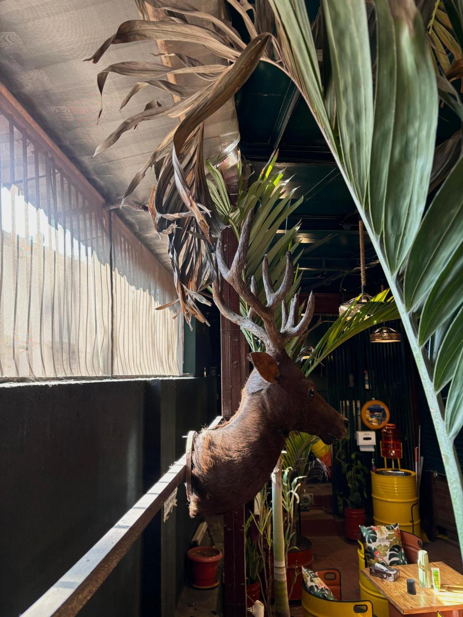 Forrest Hostels Mumbai Exterior foto